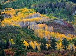 Abandoning Duality by Creating Practical Civility (Spirituality)